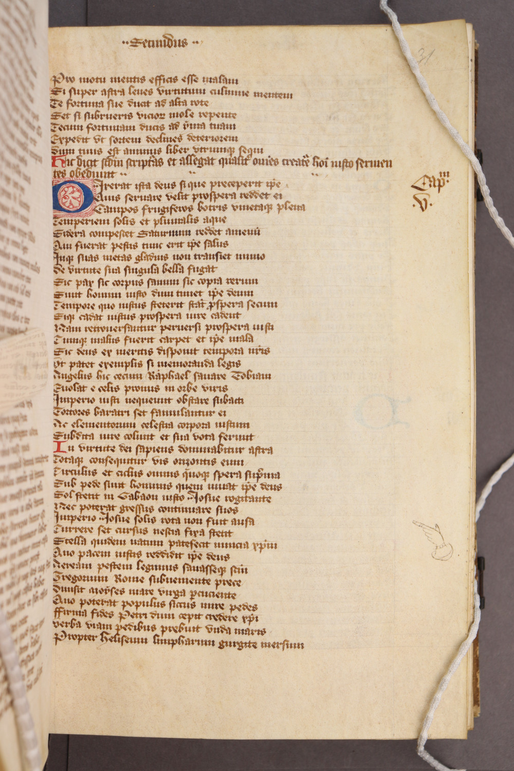 Folio 31 recto